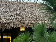 -中国茶叶博物馆(双峰馆区)