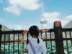 -郑州方特梦幻王国