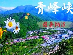 -青峰峡国家森林公园