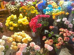 -循礼门鲜花花市(武汉循礼门店)