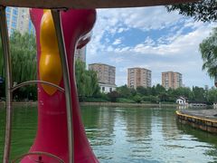 -团结湖公园