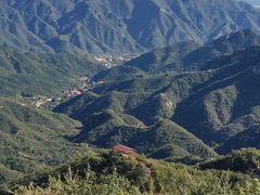 -大岭沟猕猴桃谷风景区