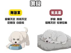 -谐和益家动物医院·免疫绝育·血液透析·宠保定点医院(高新伊藤分院)