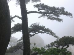 -天柱山风景区