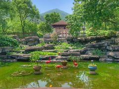 -余姚阳明温泉山庄