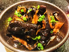 黑凤爪-蛙小侠(长安万科店)