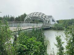 -同里国家湿地公园