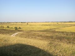 -鄱阳湖国家湿地公园