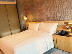 -深圳国际会展中心希尔顿酒店(前海华发冰雪世界店)