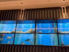 -珍宝海鲜JUMBO Seafood(尚嘉店)
