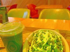 -油梨树AVOCADO TREE(望京店)