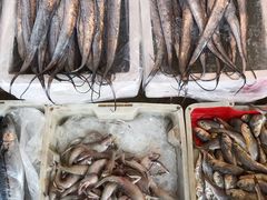 -芦潮港集贸市场