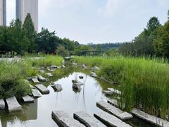 -大望京公园