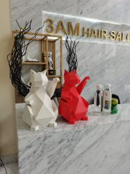 -3AM HAIR SALON染发接发