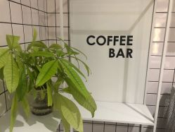 -AYO SALON