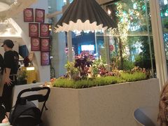 -春树下·树屋花房西餐厅(罍街AS1980店)