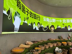 -花菇朵 ll 野生菌锅·精品滇菜(后沙峪店)