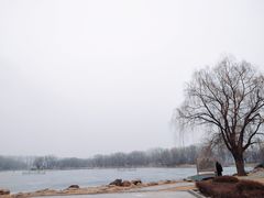 -二一九公园