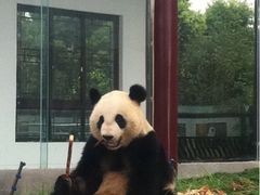 -仙芝竹尖生态园旅游景区