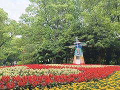 -上海共青森林公园