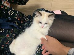 -爱诺耐芙动物医院(万博店)