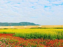 -光明小镇欢乐田园