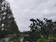 -前小桔亲子创意农场·草莓采摘·露营烧烤