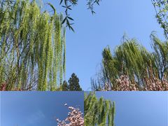 -海棠花溪(元大都城垣遗址公园)