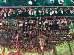 -呀诺达热带雨林