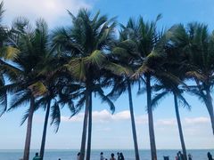 -杭州宋城