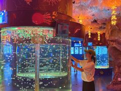 -威海华夏城景区