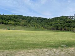 -羊山湖公园