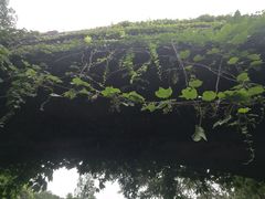 -菊花台公园