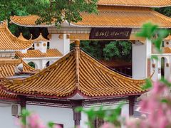 -深圳仙湖植物园-停车场