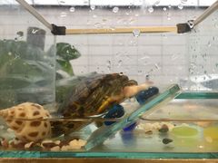 -水平有限螺蛳粉(宏达大厦店)