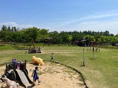 -上海长兴岛郊野公园