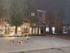 -小意思咖啡店(草桥店)