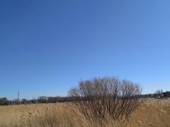 -野鸭湖国家湿地公园