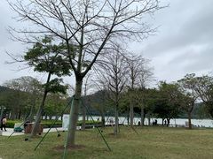 -顺峰山公园