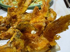 -港升鱼师傅·中山脆肉鲩