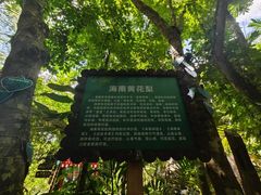 -呀诺达热带雨林