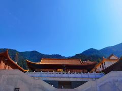 -深圳仙湖植物园
