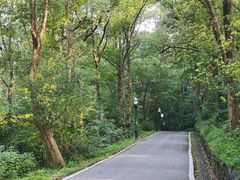 -潜山国家森林公园