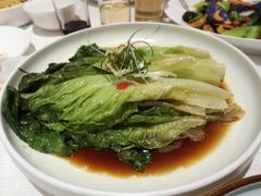 白灼罗马生菜-大铁勺新津菜(东丽阳光新业广场店)