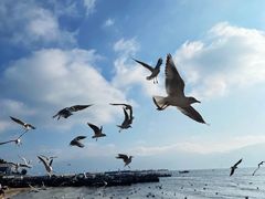 -抚仙湖禄充风景区