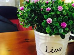 SPR&nbsp;COFFEE(东大街罗马假日风情街)-SPR COFFEE(兴正元店)