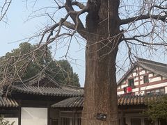 -常熟方塔园