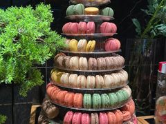 -雍容荟帝王蟹活龙虾展台自助(IFS黑金店)