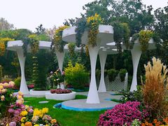 -上海共青森林公园