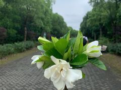 -上海海湾国家森林公园